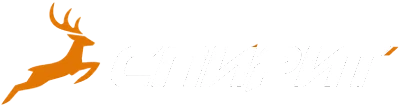 СПИРИТ
